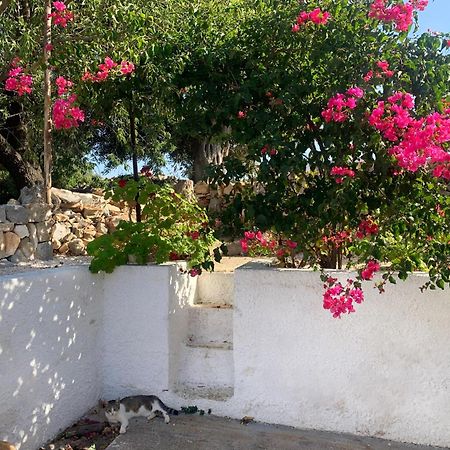 Villa Bei Tempi Polignano a Mare Exterior foto